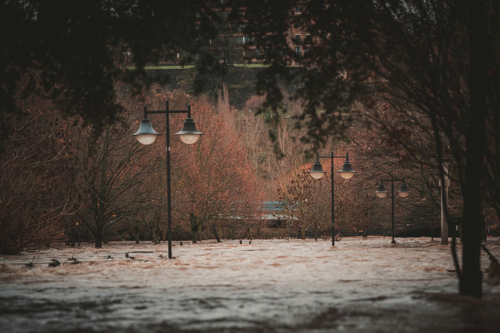 a bunch of street lights that are in the snow