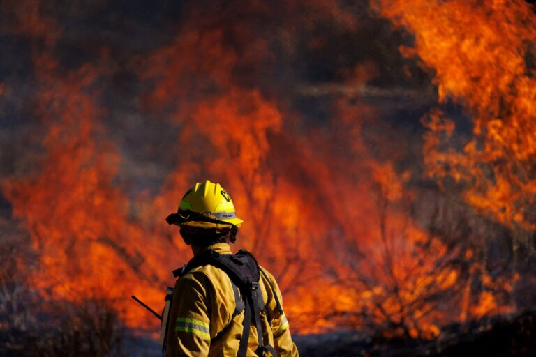 Global Wildfire Crisis Worsens with Heat Spikes