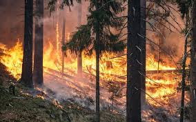 Wildfire Costs Threaten Southern Europe Budgets