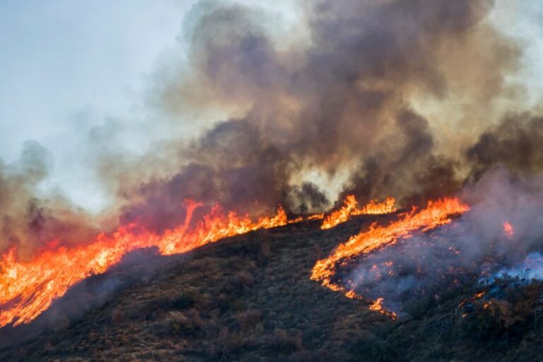 California Cities Face Billions in Risks From Wildfires
