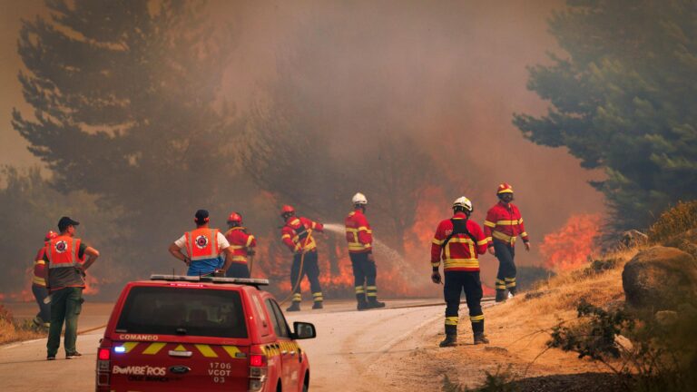 Europe’s Tourism Industry Faces Collapse from Wildfires