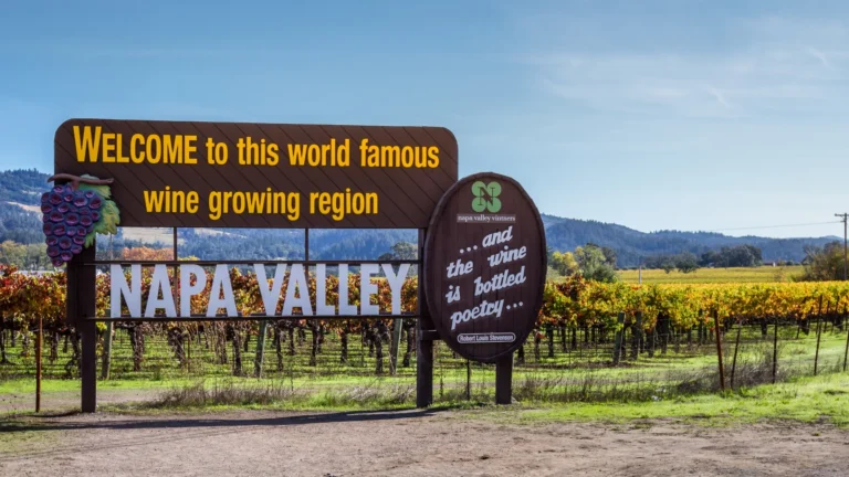 California Wildfires Threaten Napa Valley’s Wine Industry