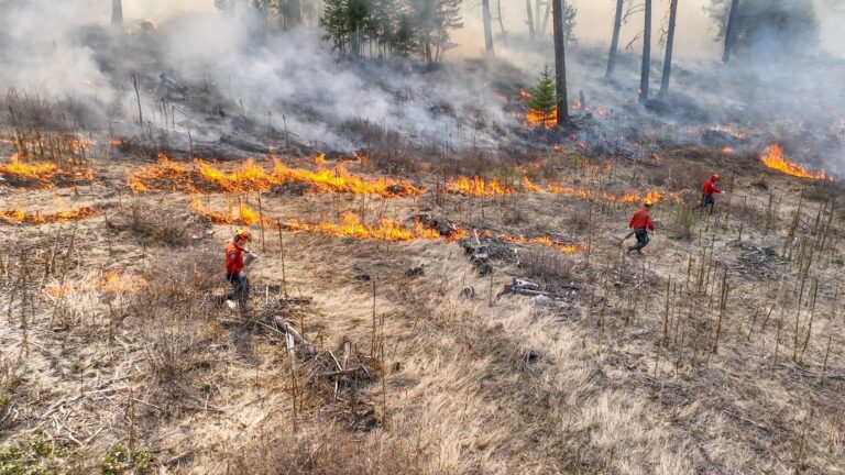 Exceptional Drought, Extreme Heat Spark Wildfire Fears in Colorado