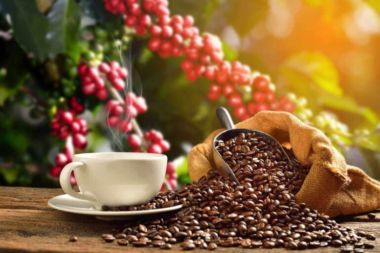 Coffee Prices Set to Soar On Climate And Tariffs