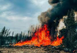 Canadian Wildfires Burn Across The Entire Country