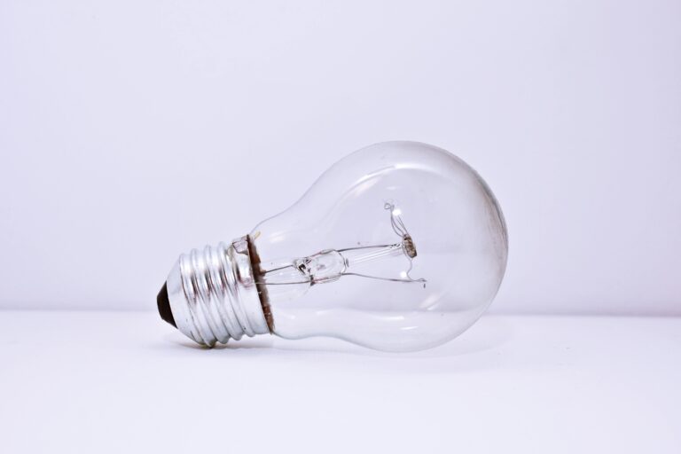 Turning Off Light bulbs Won’t Save The Planet