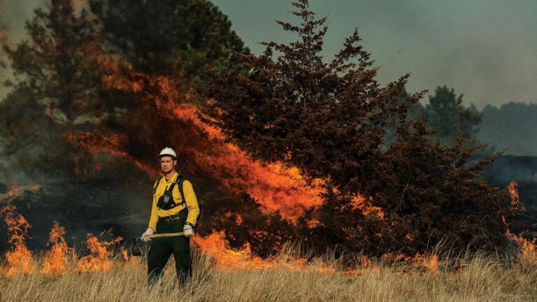 Colorado Mega Wildfires Burn 200,000 Acres, Coordination Failures