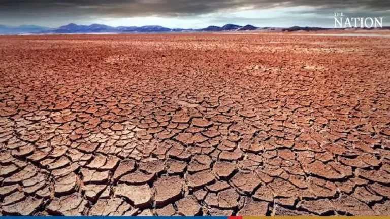 Extreme Drought Threatens South Texas with Severe Wildfires