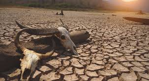 Extreme Drought Threatens Arizona’s Future