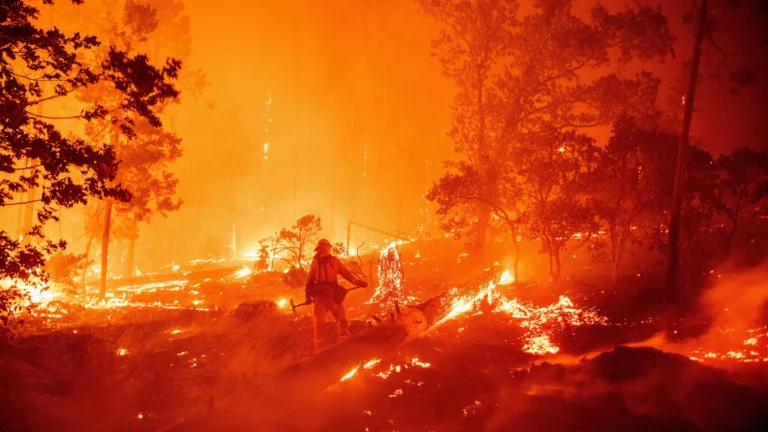 America’s Wildfire Response Fails Without Central Command