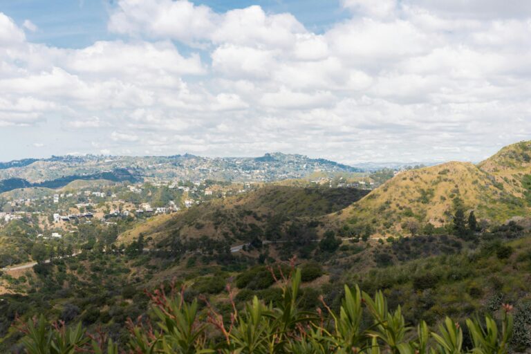 No One Is Regulating Wildfires