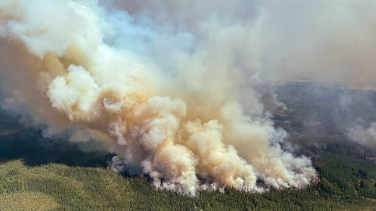 Wildfire Smoke Could Drive Record Heat in Maine This Fall