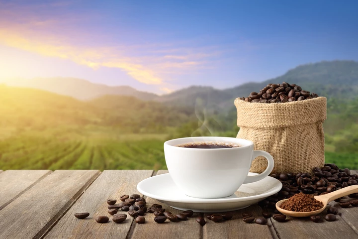 Climate Change Drives Record Hamburger