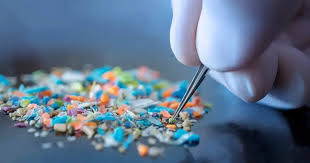 Global Summit Highlights Deadly Health Risks of Microplastics