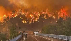 Europe’s Wildfire Crisis Grows, Fire Is Size Of Paris