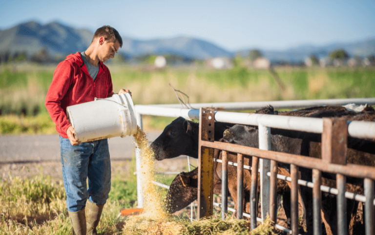 Meat Production Drives Climate Emissions