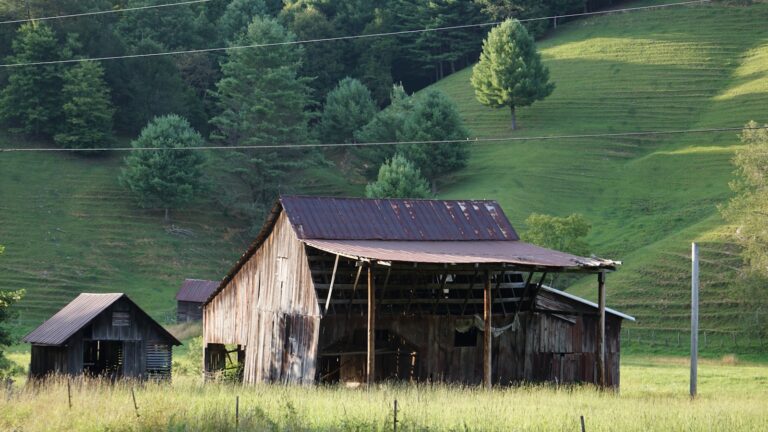 brown wooden house in green field viewing mountain