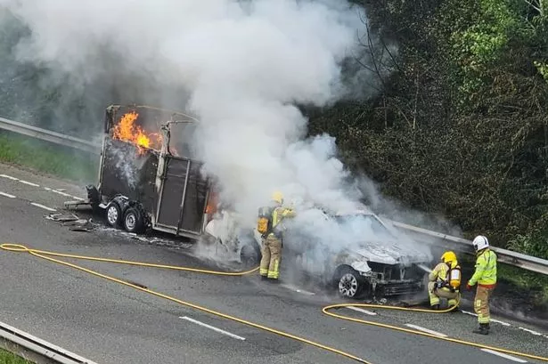 Wildfire Smoke Greater Killer Than Car Accidents