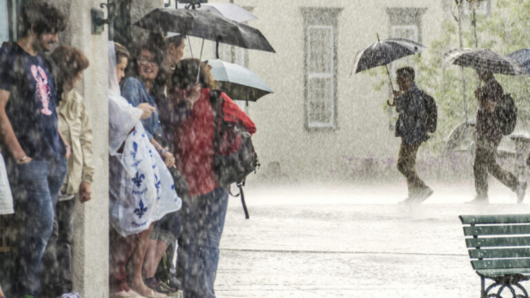 Heavy Rains Fuel More Destructive Wildfires