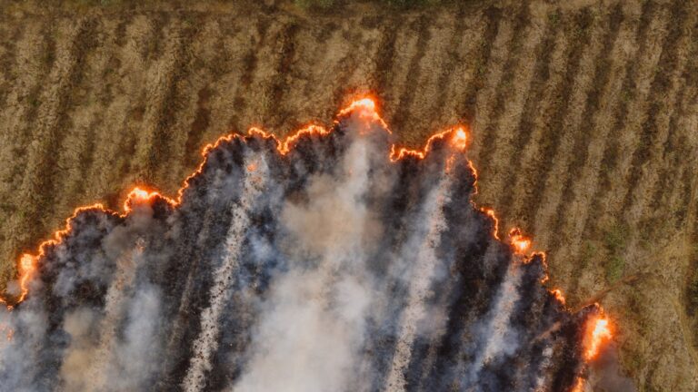 How 2025 Compares to the Worst Years for Wildfires