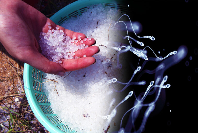 Plastics Linked to Declining Human Fertility