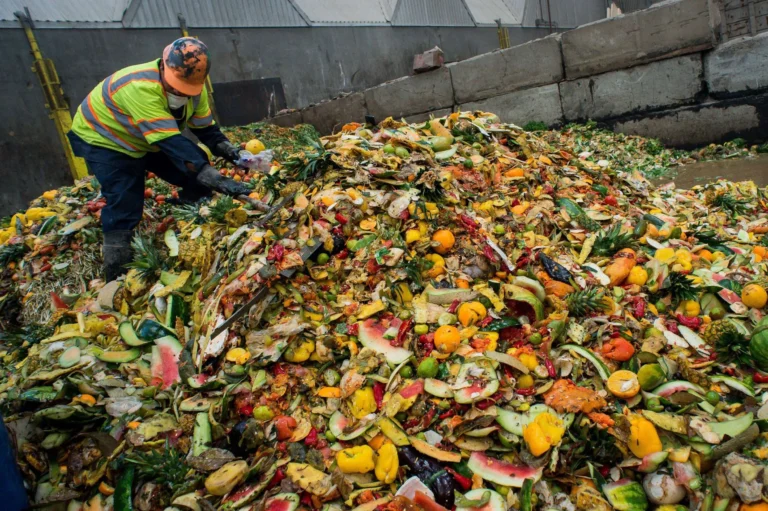 U.S. Food Waste Reaches 183 Billion Pounds