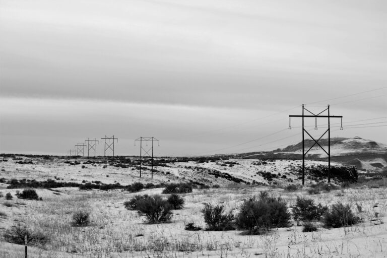 Trump Wants To Control America’s Power grid