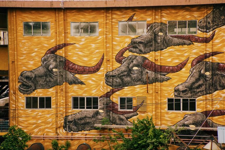 Buffalo’s $6 Million Snow Bill