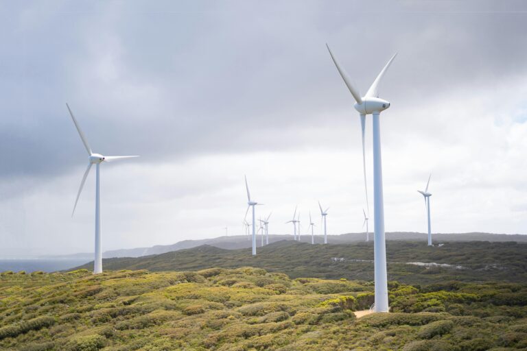 Wind Farms Are Dangerous To Your Health