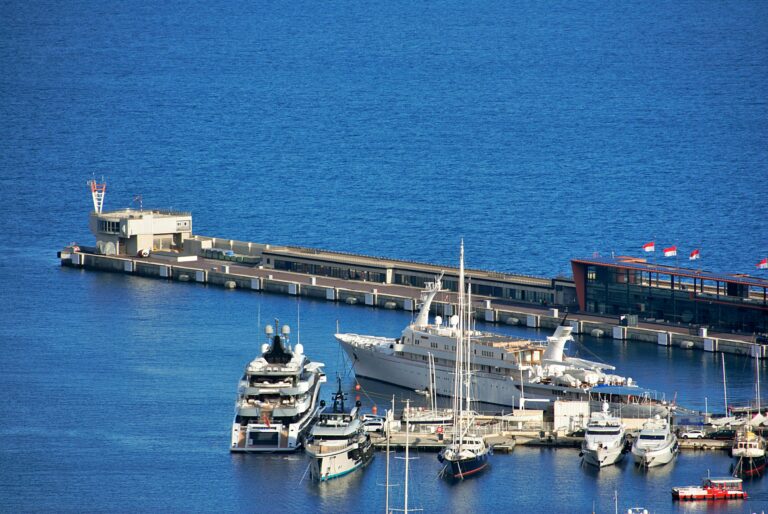 Billionaires Help Save The Environment