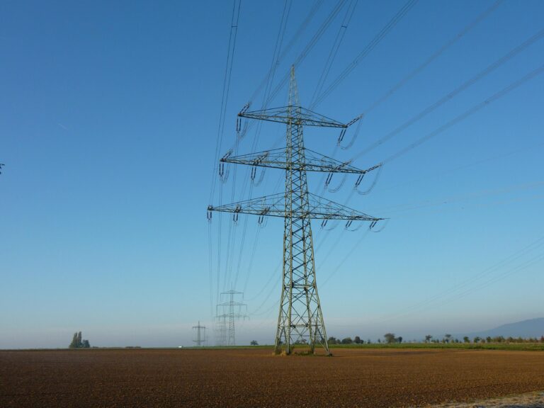 US And China Are Primary Hope For Green Future