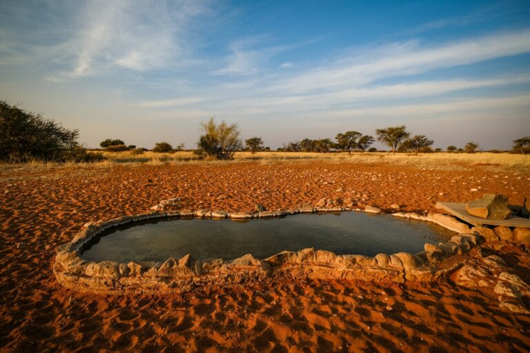 a small pool of water in the middle of the desert
