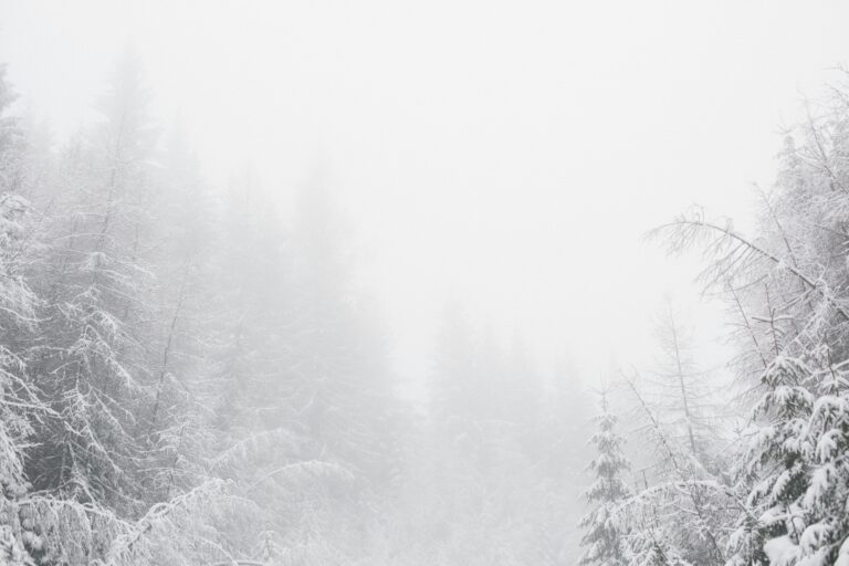 States With Record Snowfall