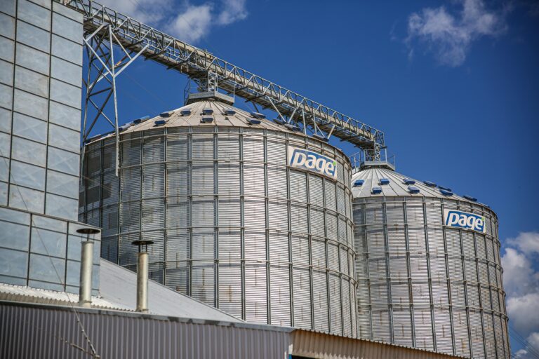 Exxon Plans To Dump Its Green Plans