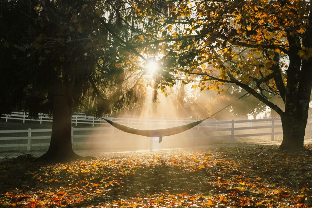 A tranquil hammock under autumn trees with sunrays in a Portland countryside setting.