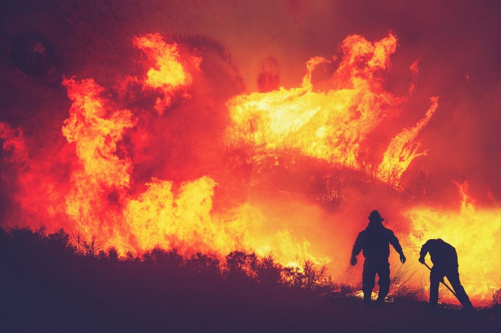 fire, nature, flames, trees, forest, destruction, people, firefighters, rescue