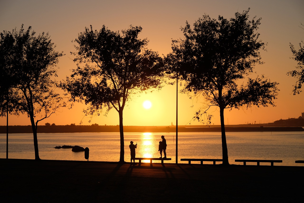 sunset, silhouette, nature, river, water, dusk, sunlight, sun, park