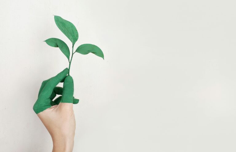 Does Nature Contribute To The Economy?
