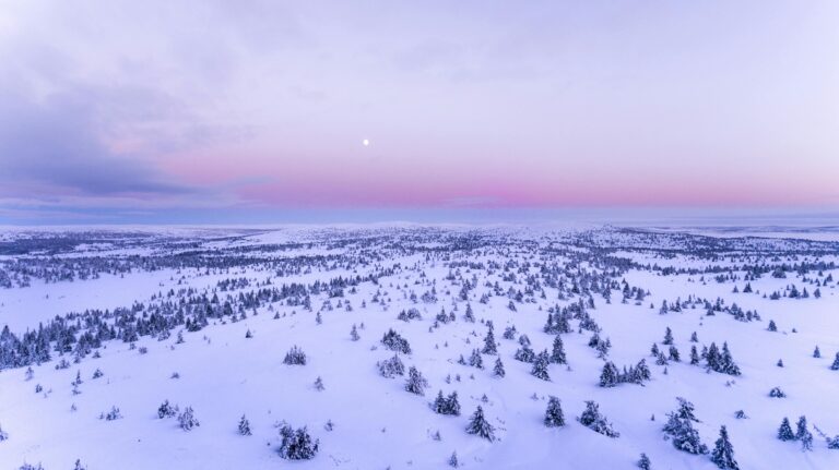 Massive Snowstorm Could take Part Of The US Grid Down