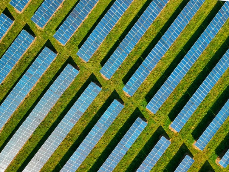 Green Energy Is Winning the Battle Against Trump