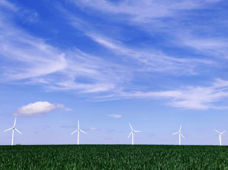 Trump Will Only Approve Beautiful Renewables