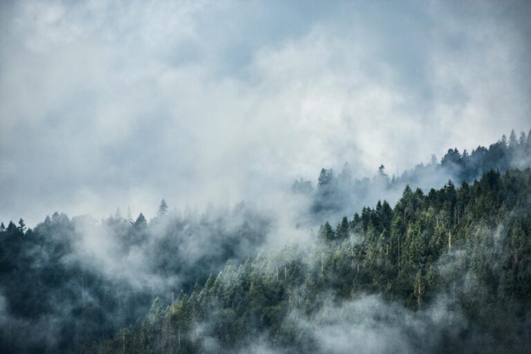 Power Cut To 50,000 Homes On Wildfire Risk