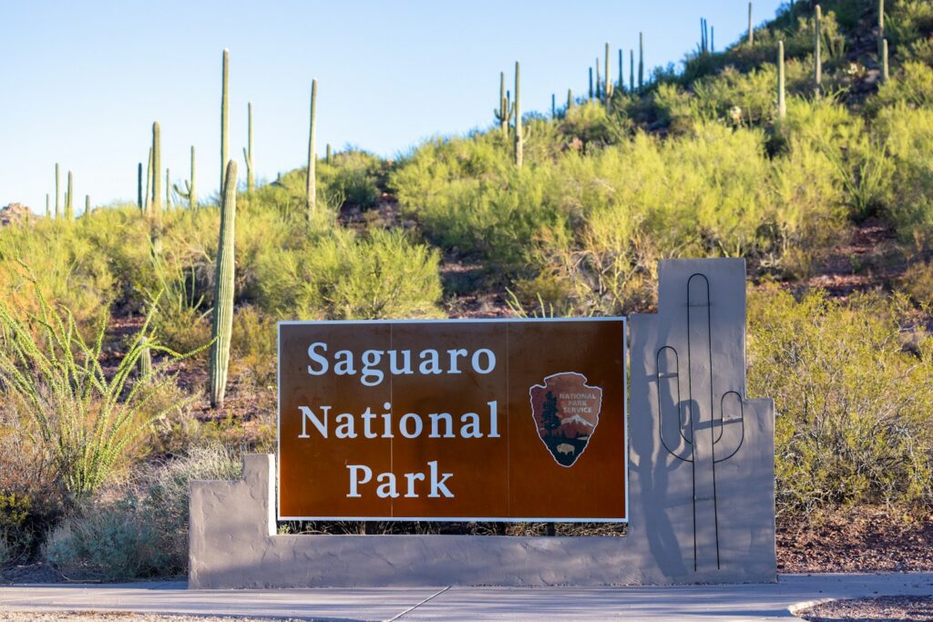 Entrance sign for saguaro national park with cacti.