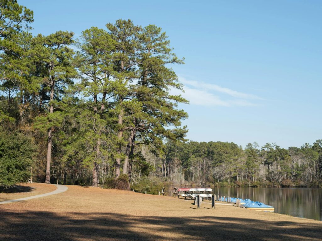 Explore a peaceful lakeside view with tall trees and kayaks at Sesqui State Park.