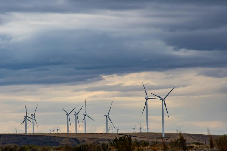 Trump Wants To Block Wind Energy, Again