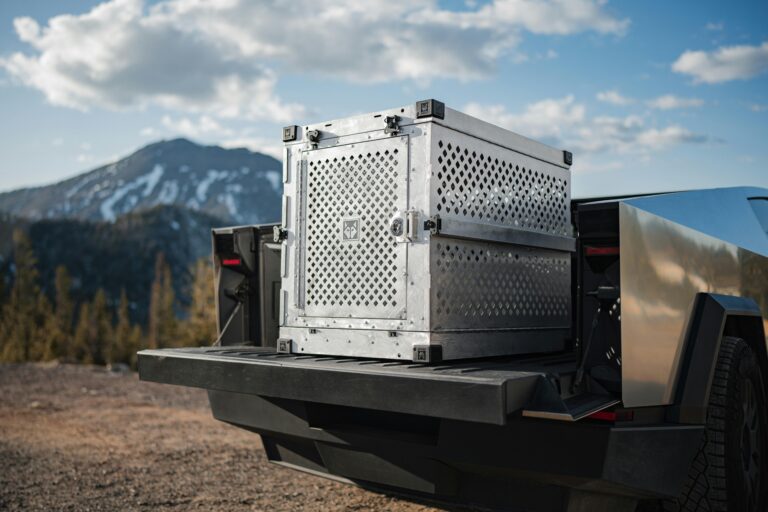 Tesla Cybertruck Sales Spring to Life