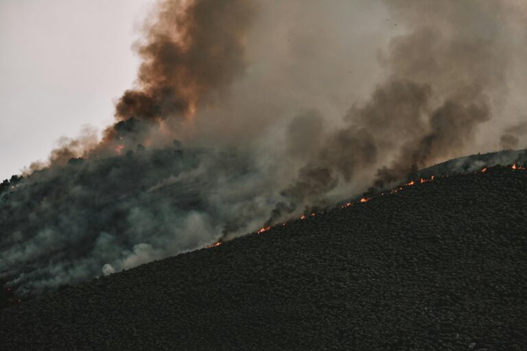 Wildfires Could Set an All-Time Record