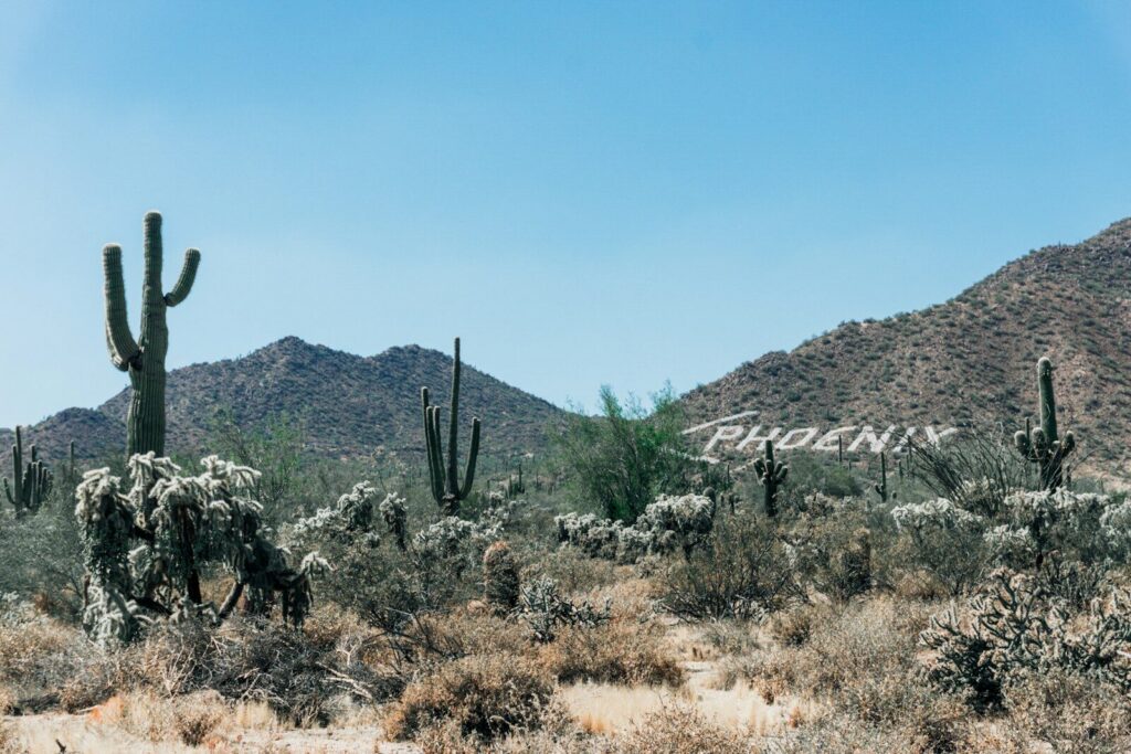 A desert scene with cactus trees and mountains in the background