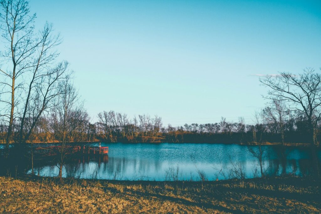 body of water near trees during daytime