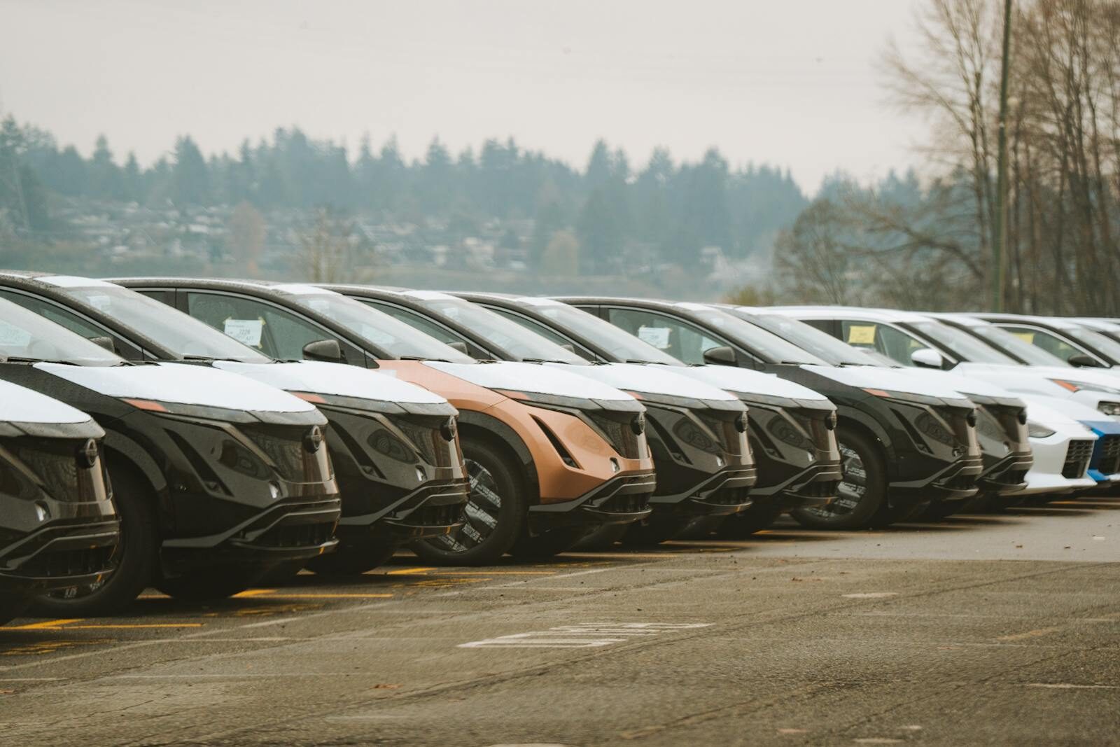 Rows of sleek electric cars parked outdoors, showcasing automotive design and innovation.
